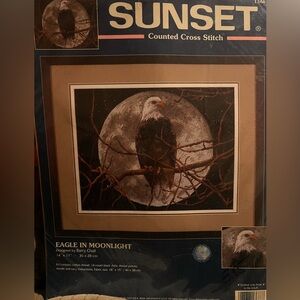 Vintage Sunset Eagle in Moonlight Counted Cross Stitch Kit